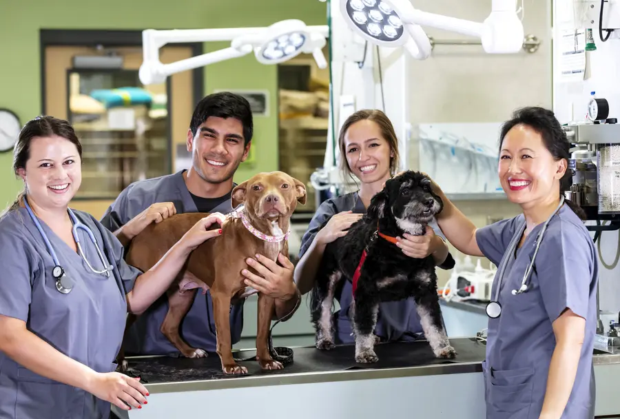 A group of people standing around with dogs.