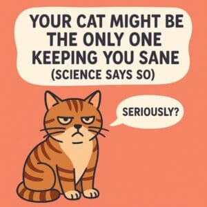 Cartoon cat saying it keeps you sane, with a funny tone.
